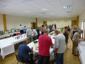 Soie Hermon Show 2015